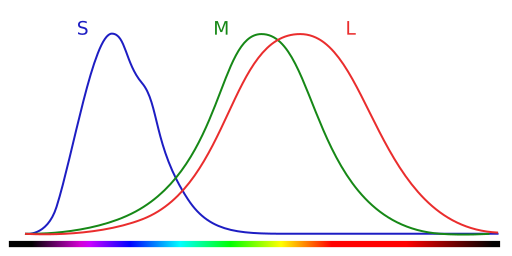 Spectrograph of cone sensitivities